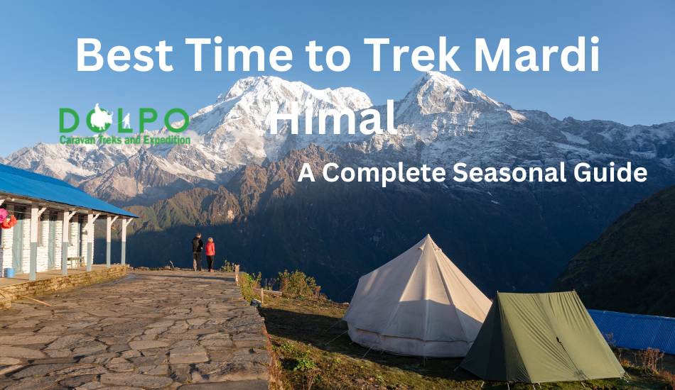 best-tome-to-trek-mardi-himal 