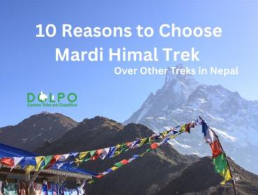 Reasons-to-Choose-Mardi-Himal-Trek  