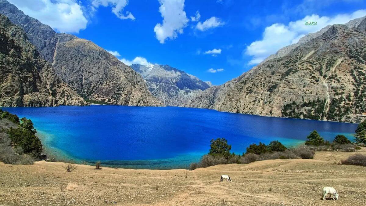 shey-phoksundo-lake-si...