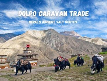 dolpo-caravan-trade 
