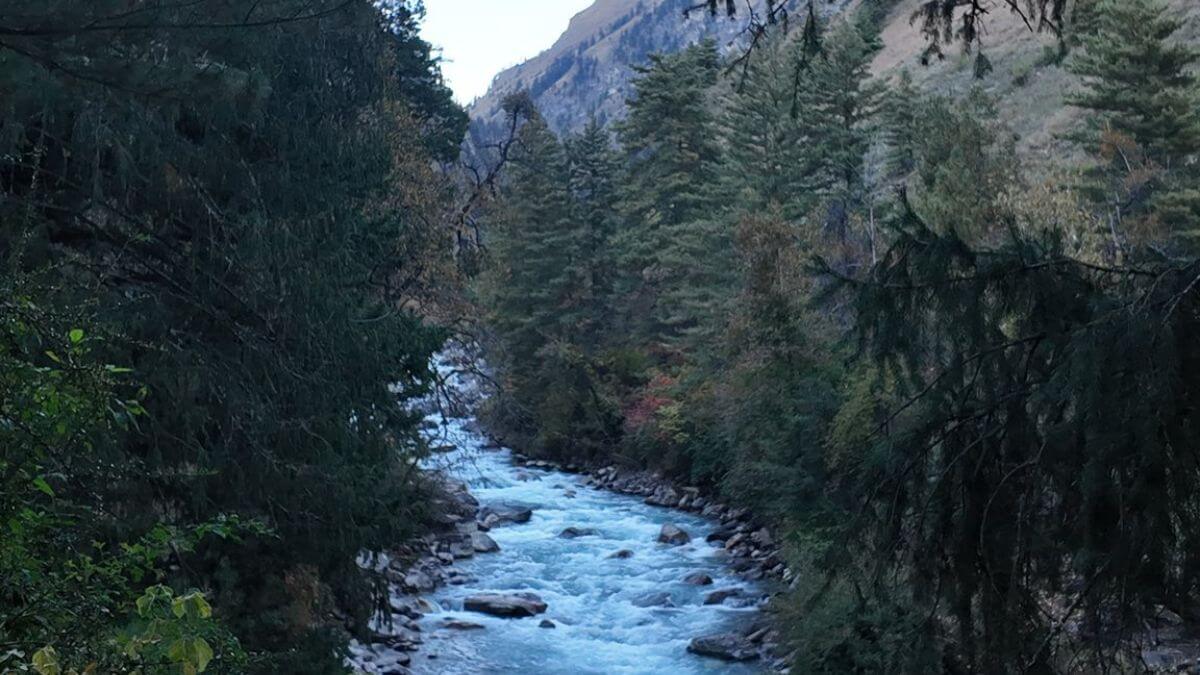 phoksundo-park-stream.jpg