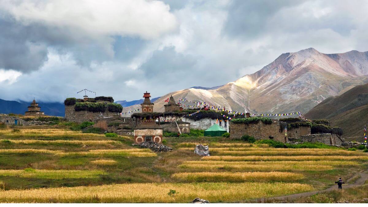 dho-tarap-village.jpg