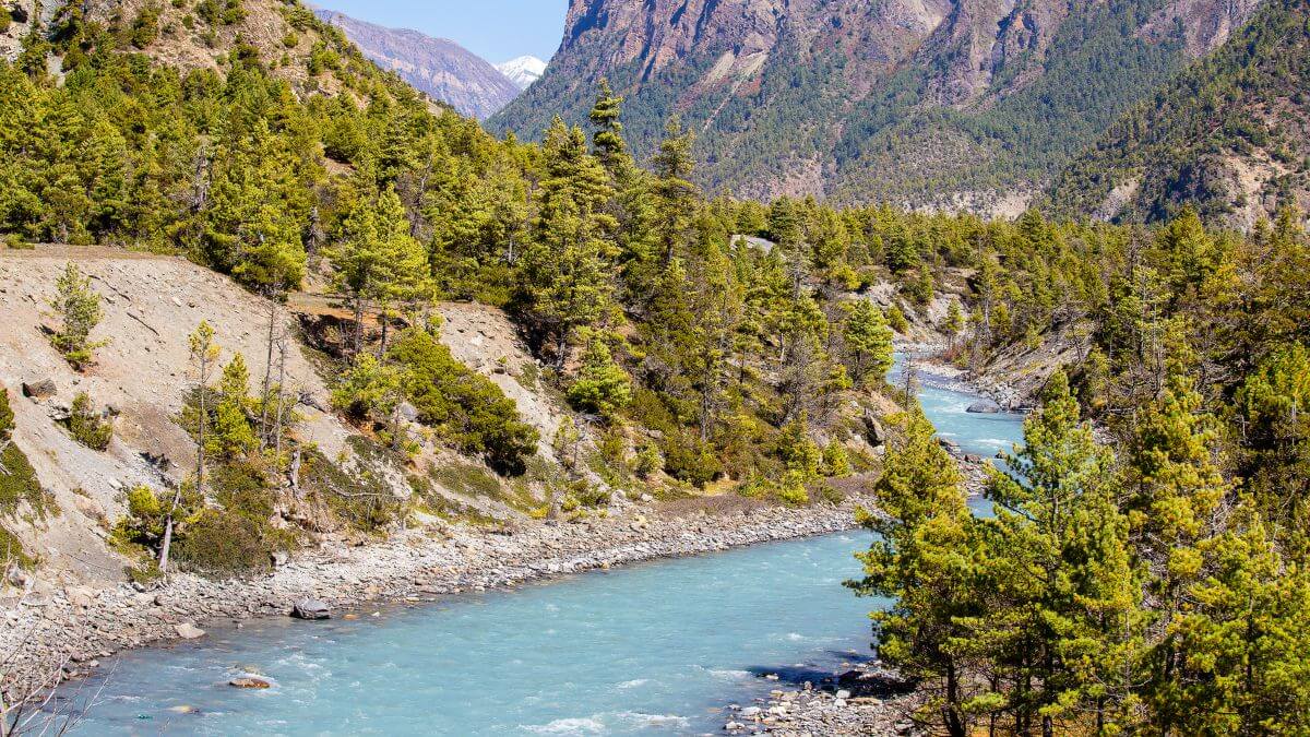 river-trail-in-upper-d...