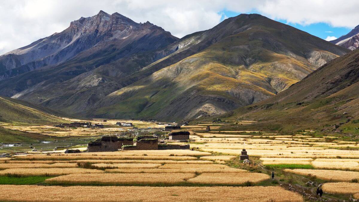 tarap-valley-mountain-...