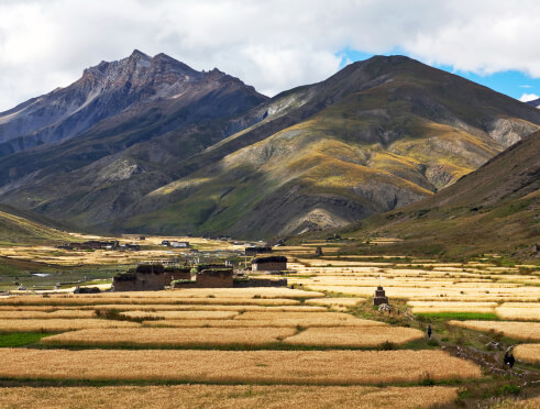limi-valley-vs-upper-dolpo 