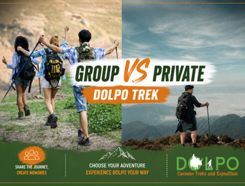 group-vs-private-dolpo-trek 