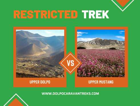 upper-dolpo-vs-upper-mustang 