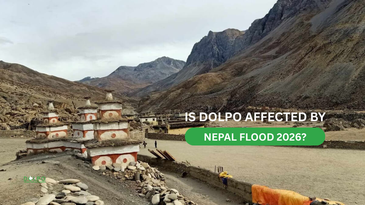 is-dolpo-affected-by-nepal-flood 