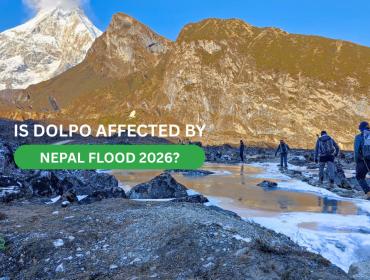 is-dolpo-affected-by-nepal-floor 