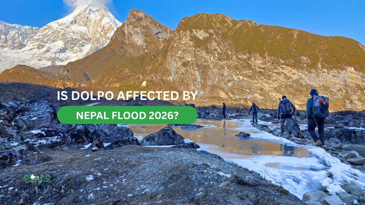 is-dolpo-affected-by-nepal-floor 