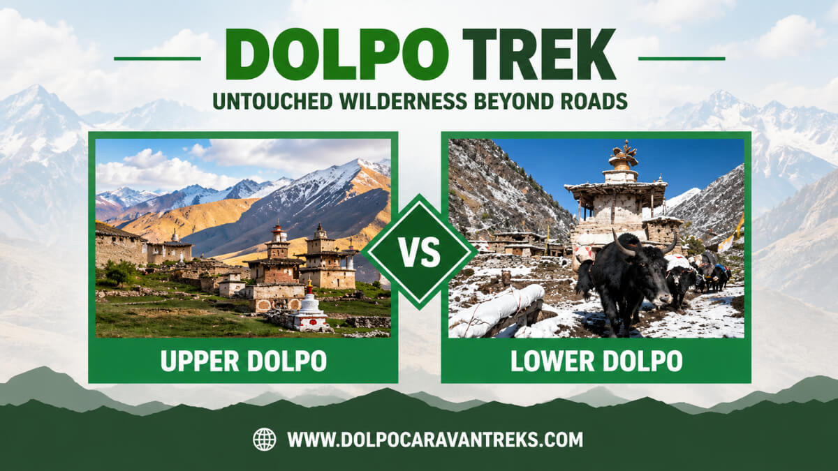 upper-dolpo-trek-vs-lower-dolpo-trek 