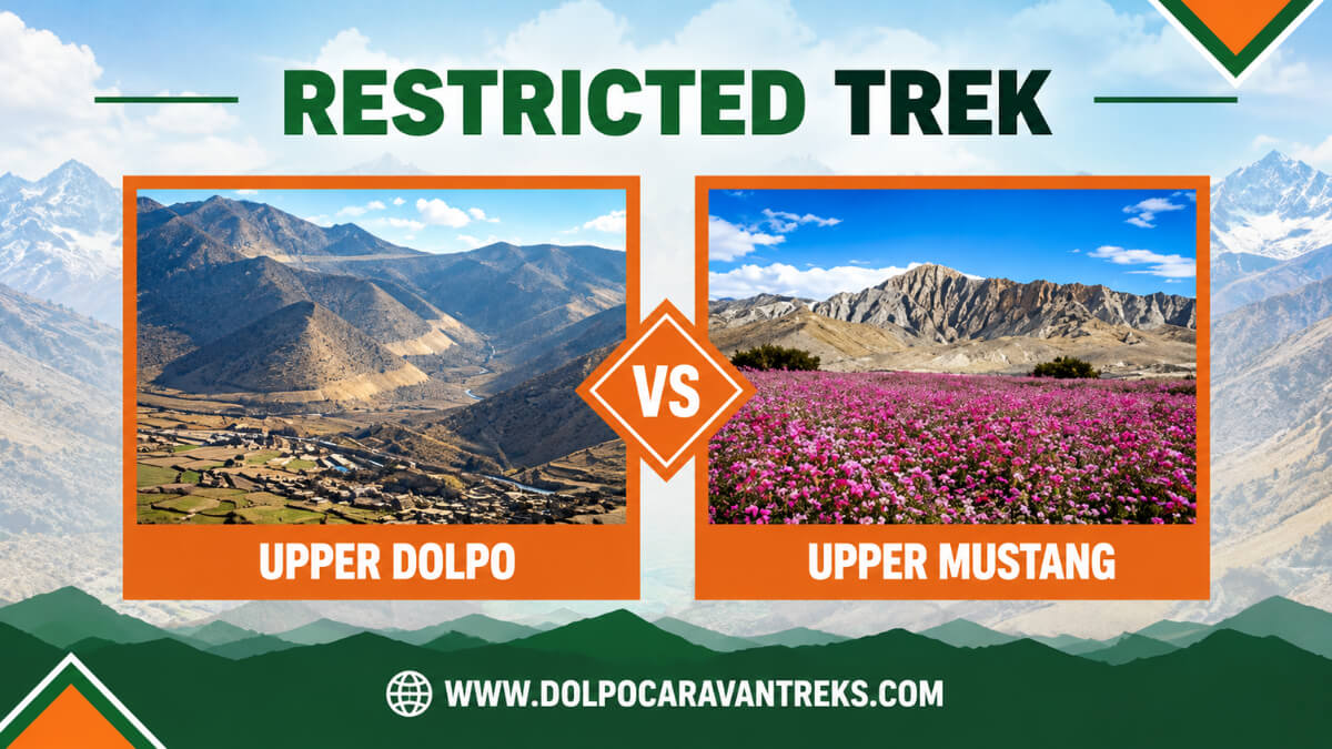 upper-dolpo-trek-vs-upper-mustang-trek 